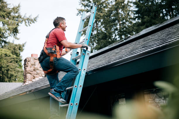 Best Metal Roofing Installation  in Anderson Island, WA